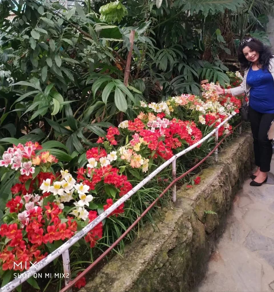 Colourful Himalayan orchids and flora at Flower Exhibition Centre Gangtok