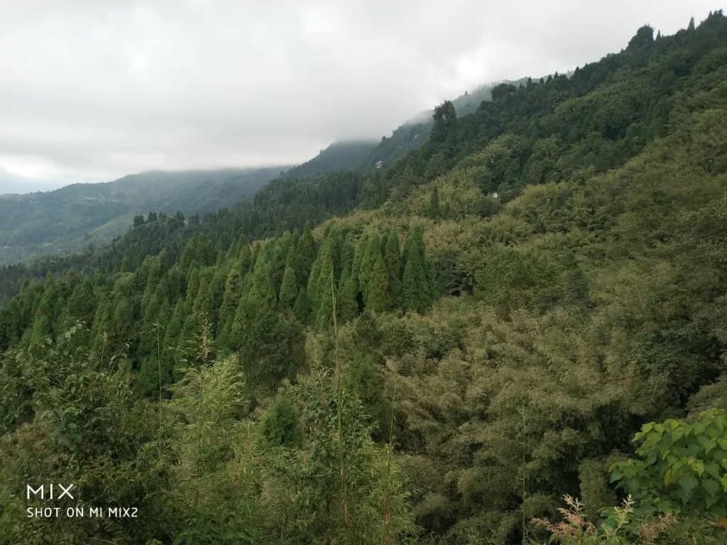 Gangtok – Gateway to the Eastern Himalayas