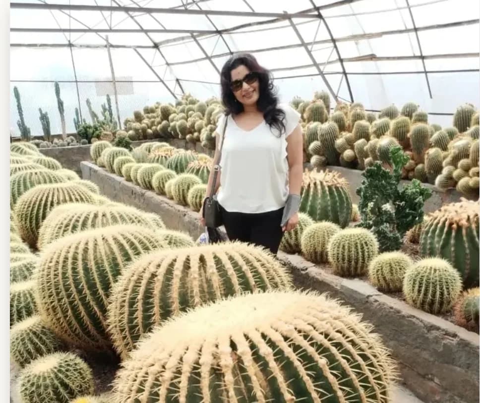Hero Cactus
