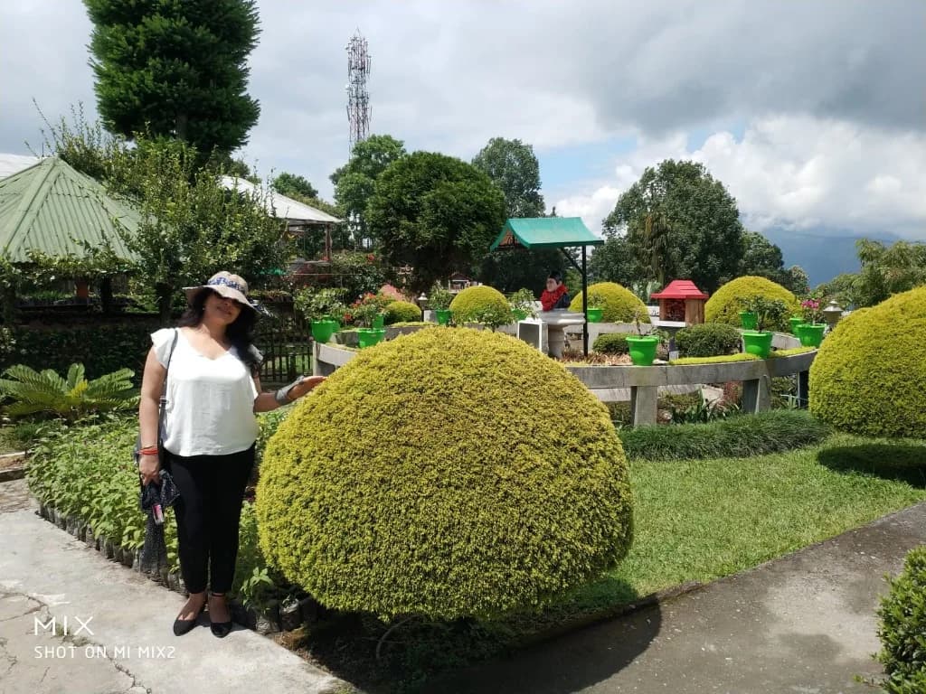 A woman standing next to a perfectly round topiary bush in a lush outdoor garden nursery