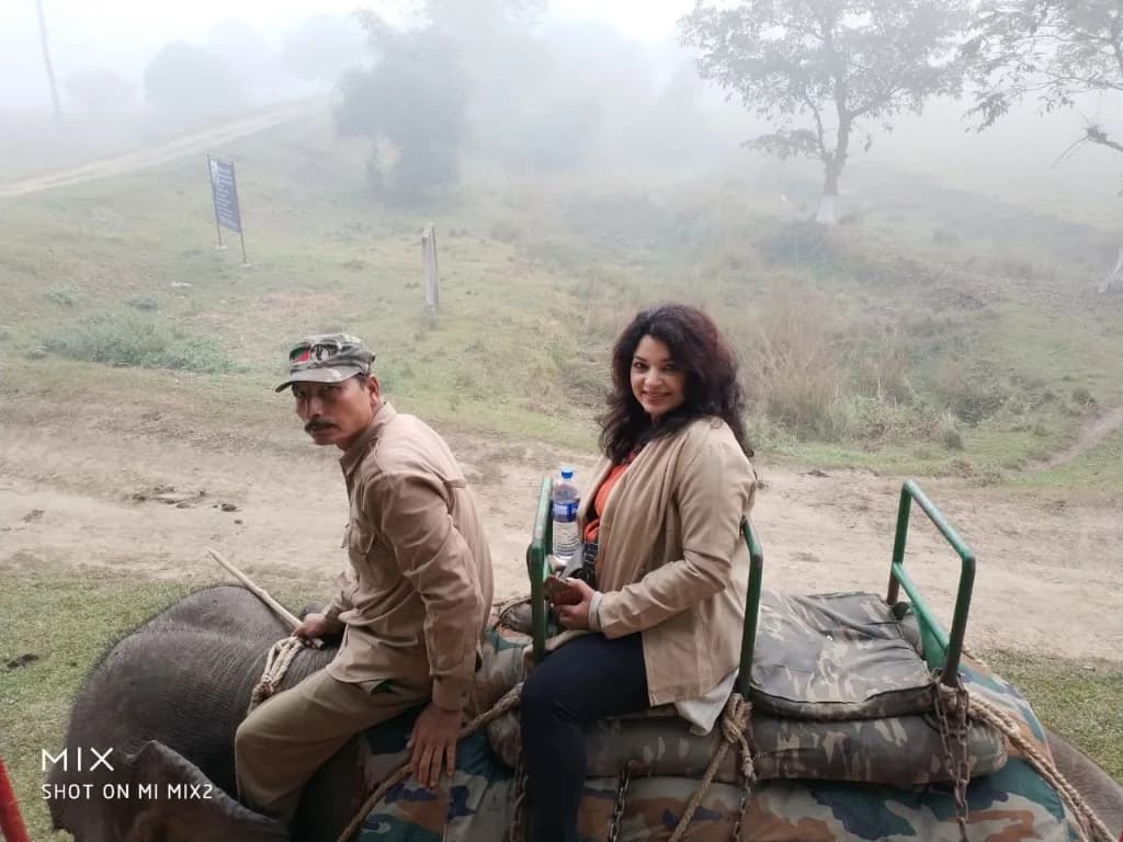 Elephant safari experience in Pobitora Wildlife Sanctuary
