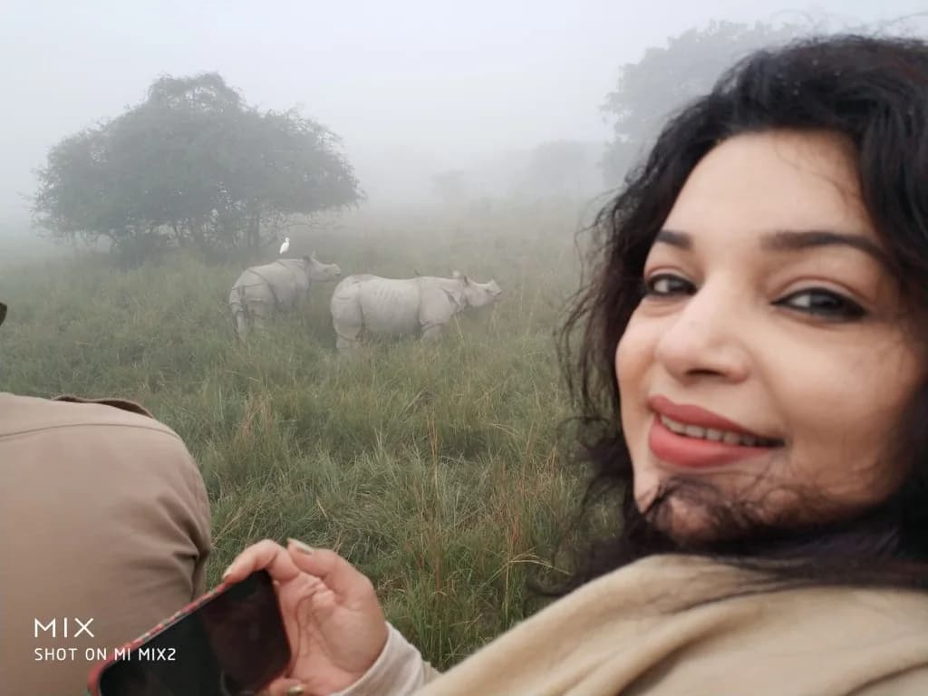 Up close with the magnificent rhinos of Pobitora