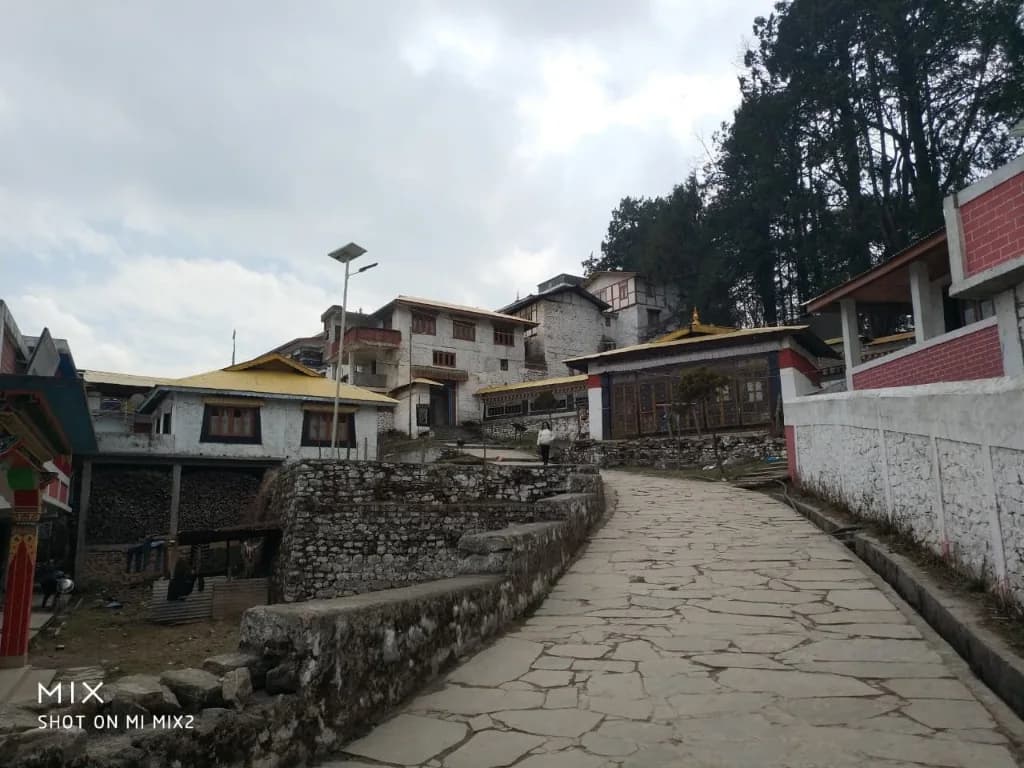 Tawang Monastery Pathway