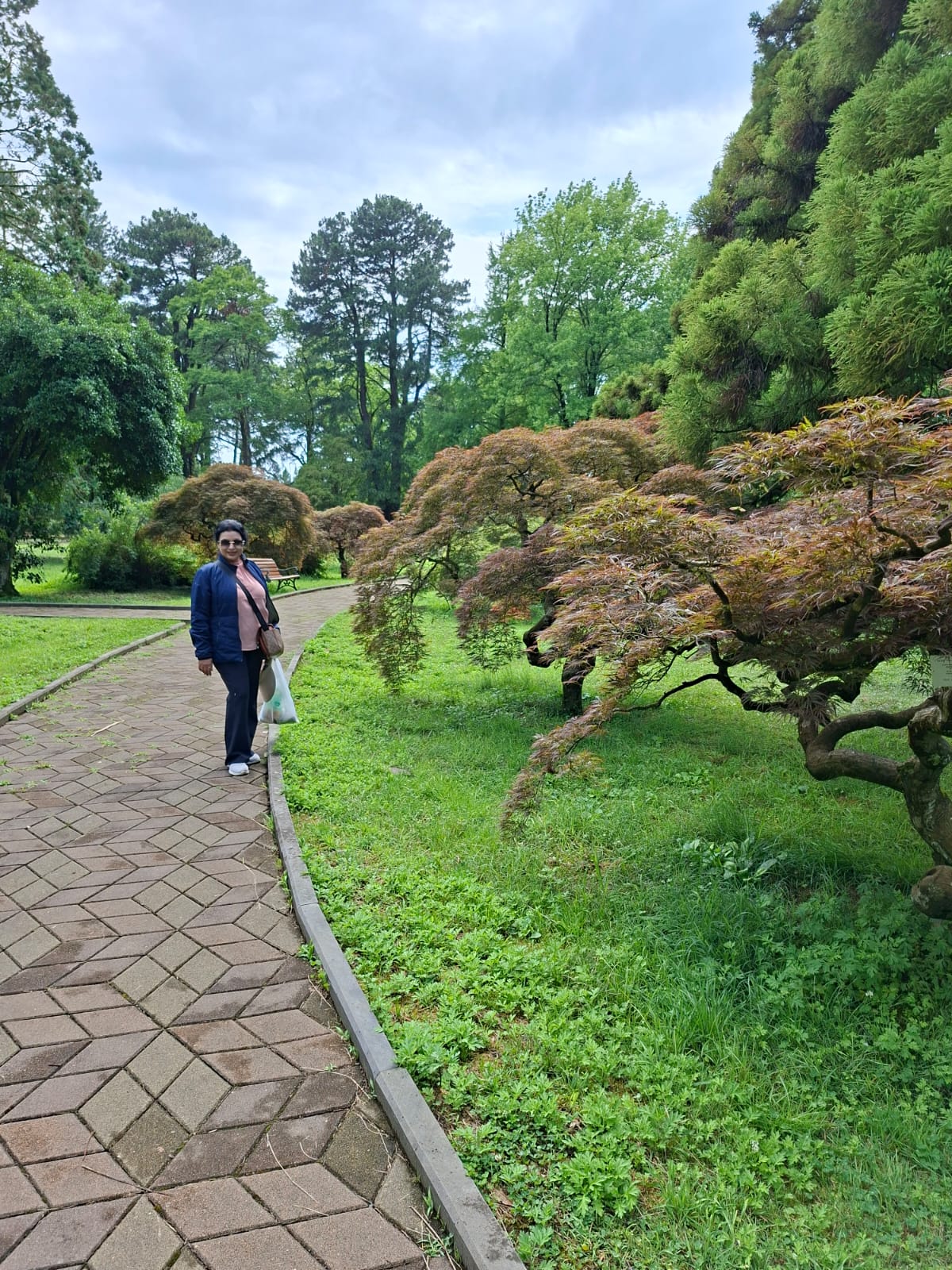 Botanical Garden view 14