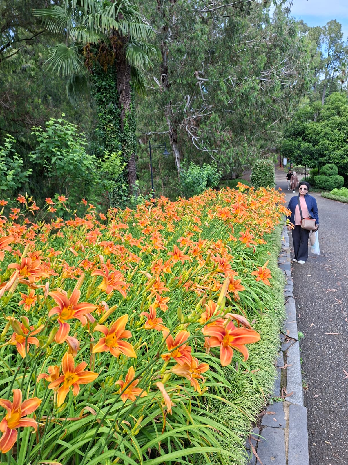Botanical Garden view 15