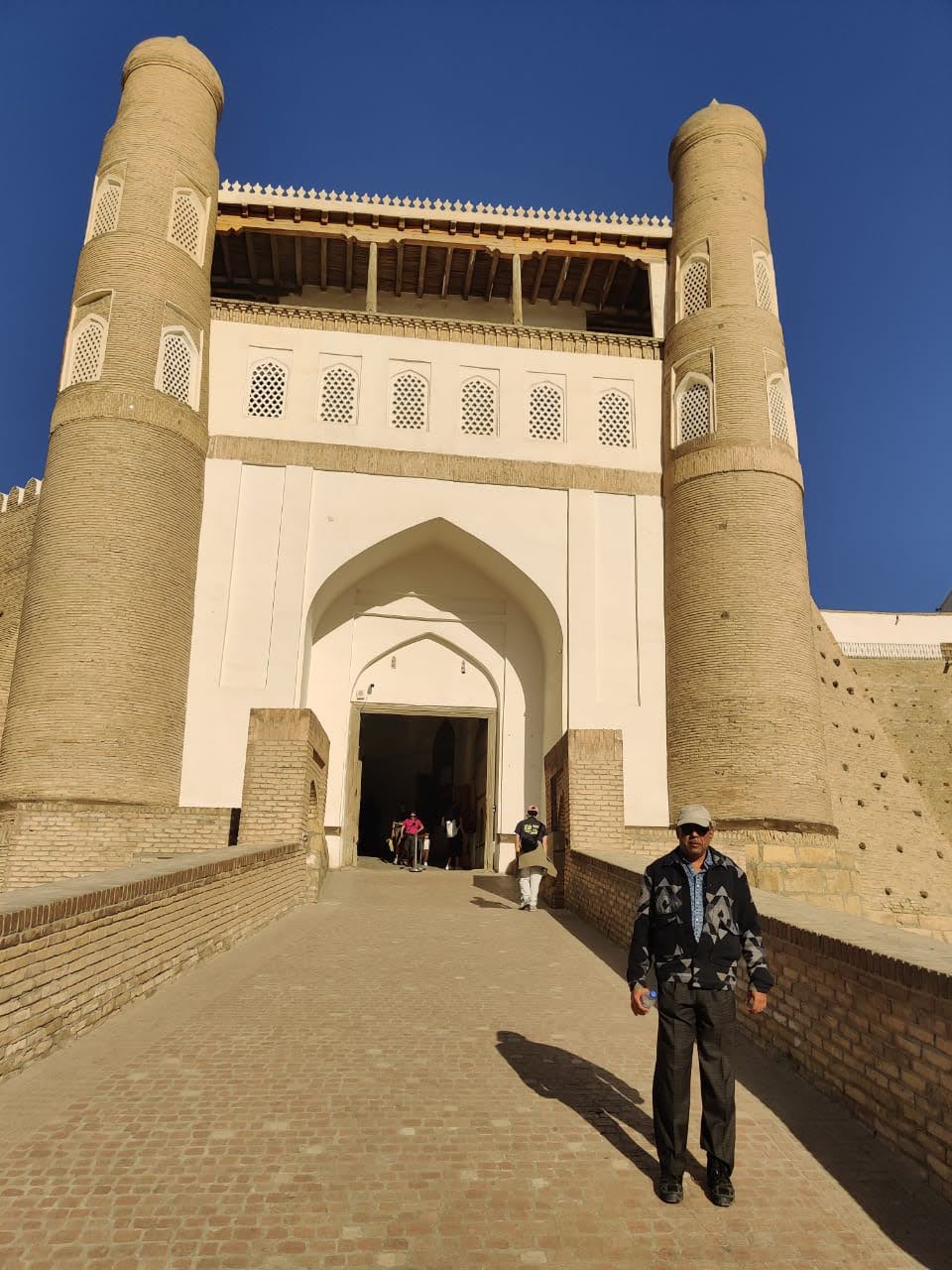 Landscape dispatch view of the city of Bukhara