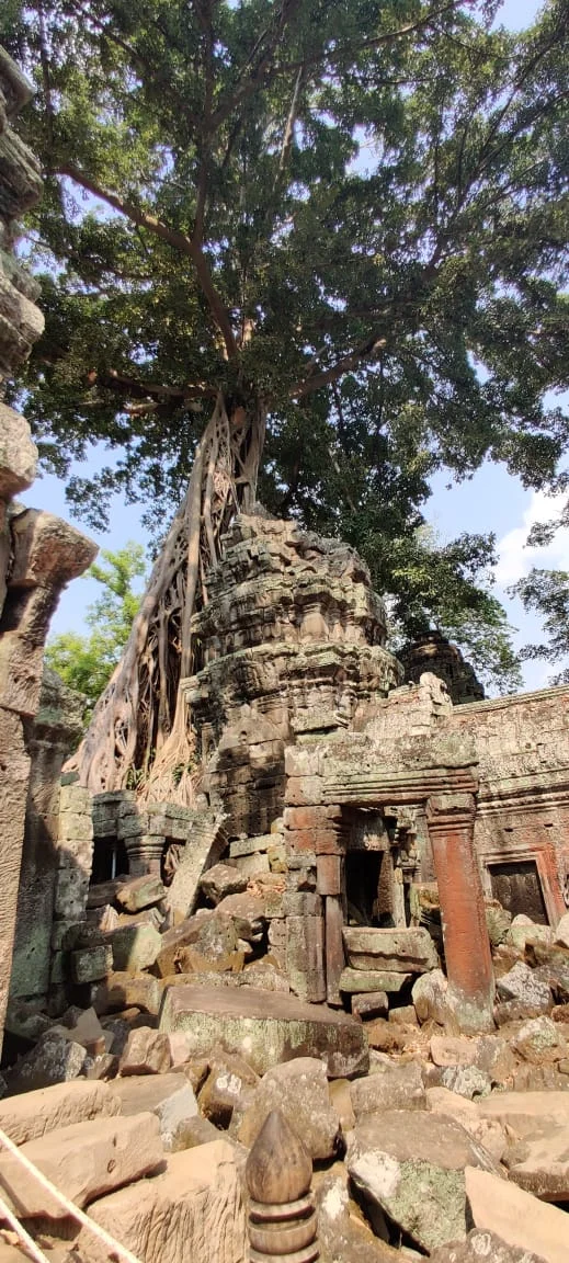 Angkor Park Details
