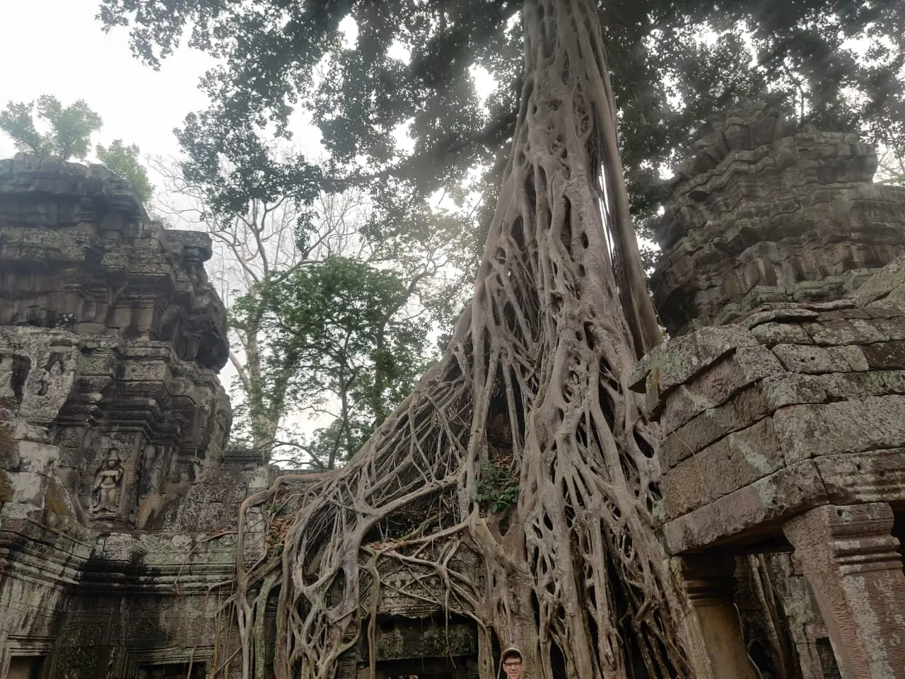 Ta Prohm Structure