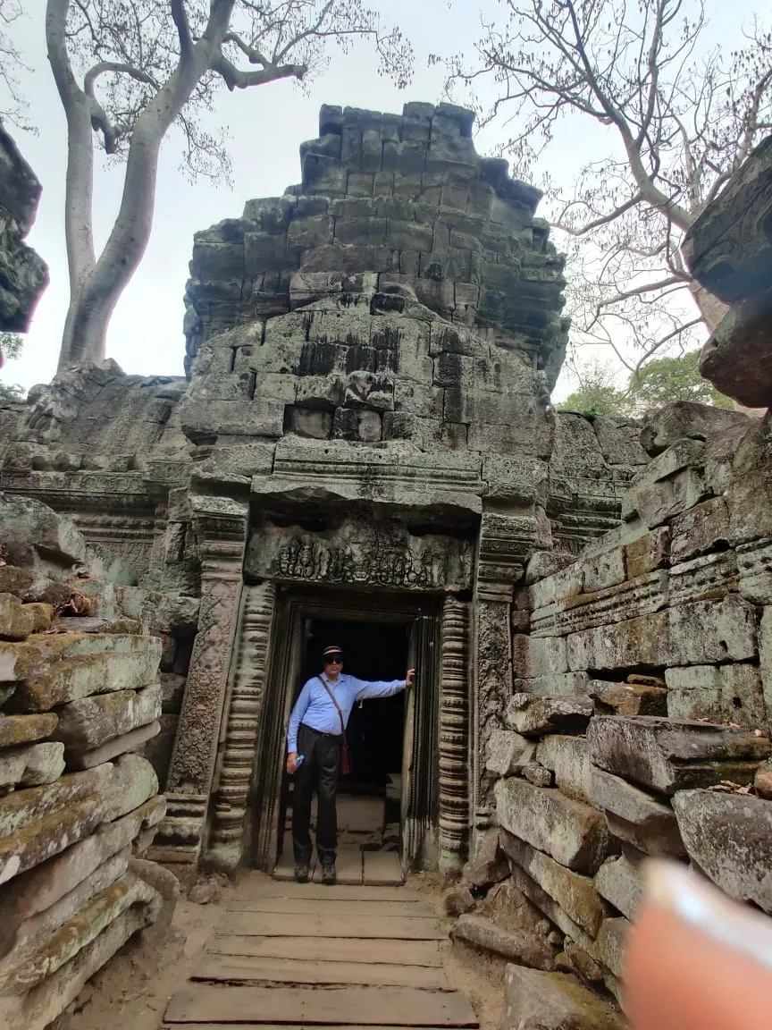 Ta Prohm Roots Detail