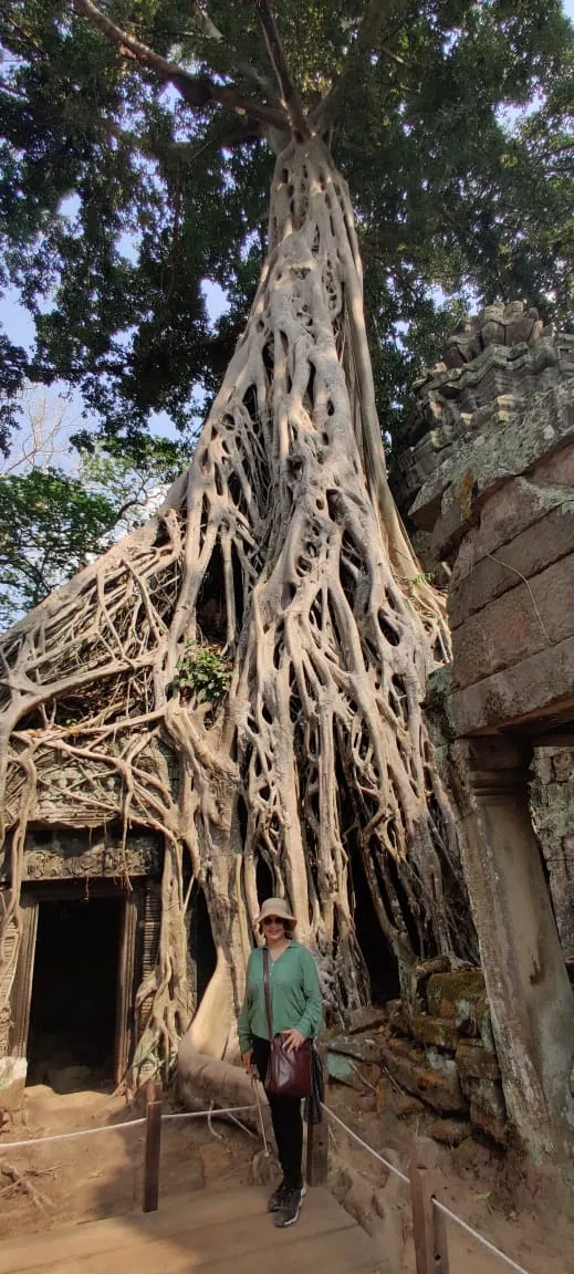 Ta Prohm Root