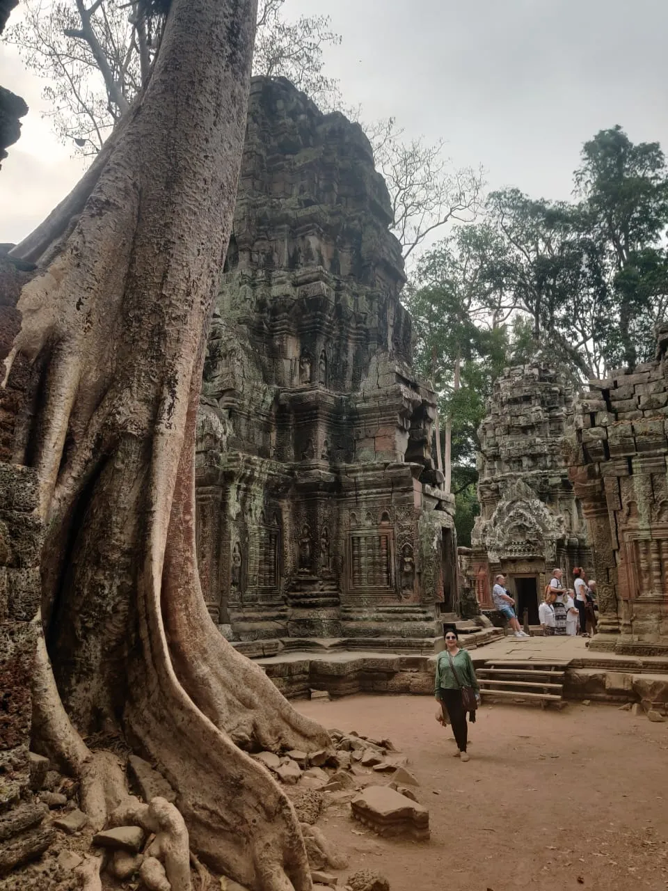 Ta Prohm Gallery