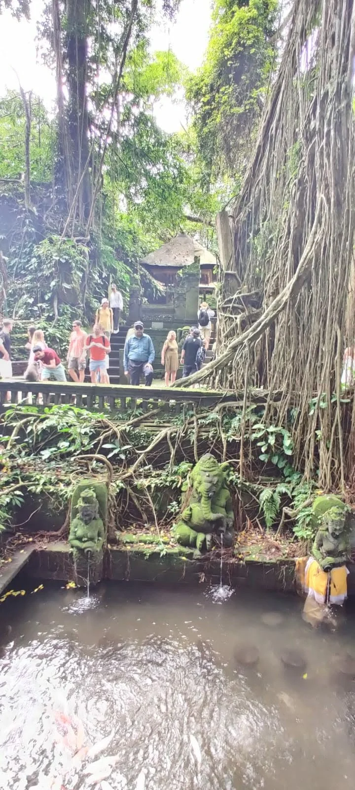 Sacred purification spring at Pura Beji with holy water pouring from a mossy Lord Ganesha spout into the pool below