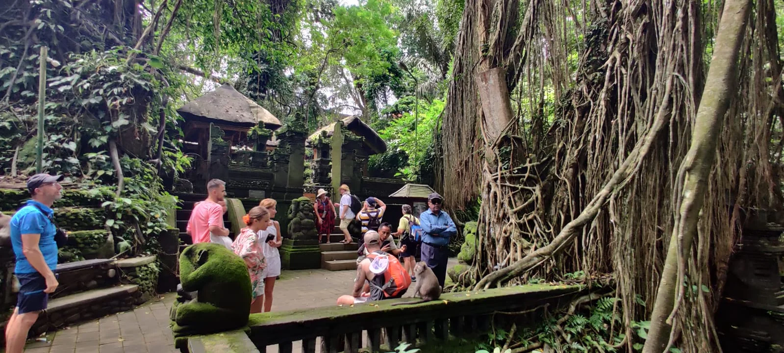 Panoramic view of the sacred forest courtyard with giant banyan root canopy, thatched pavilions, and wild macaques