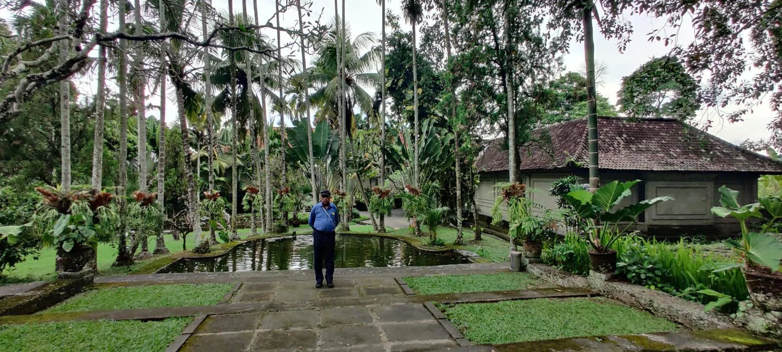 Gentleman traveler beside the tranquil reflecting lotus pool and tropical gardens of Museum Puri Lukisan