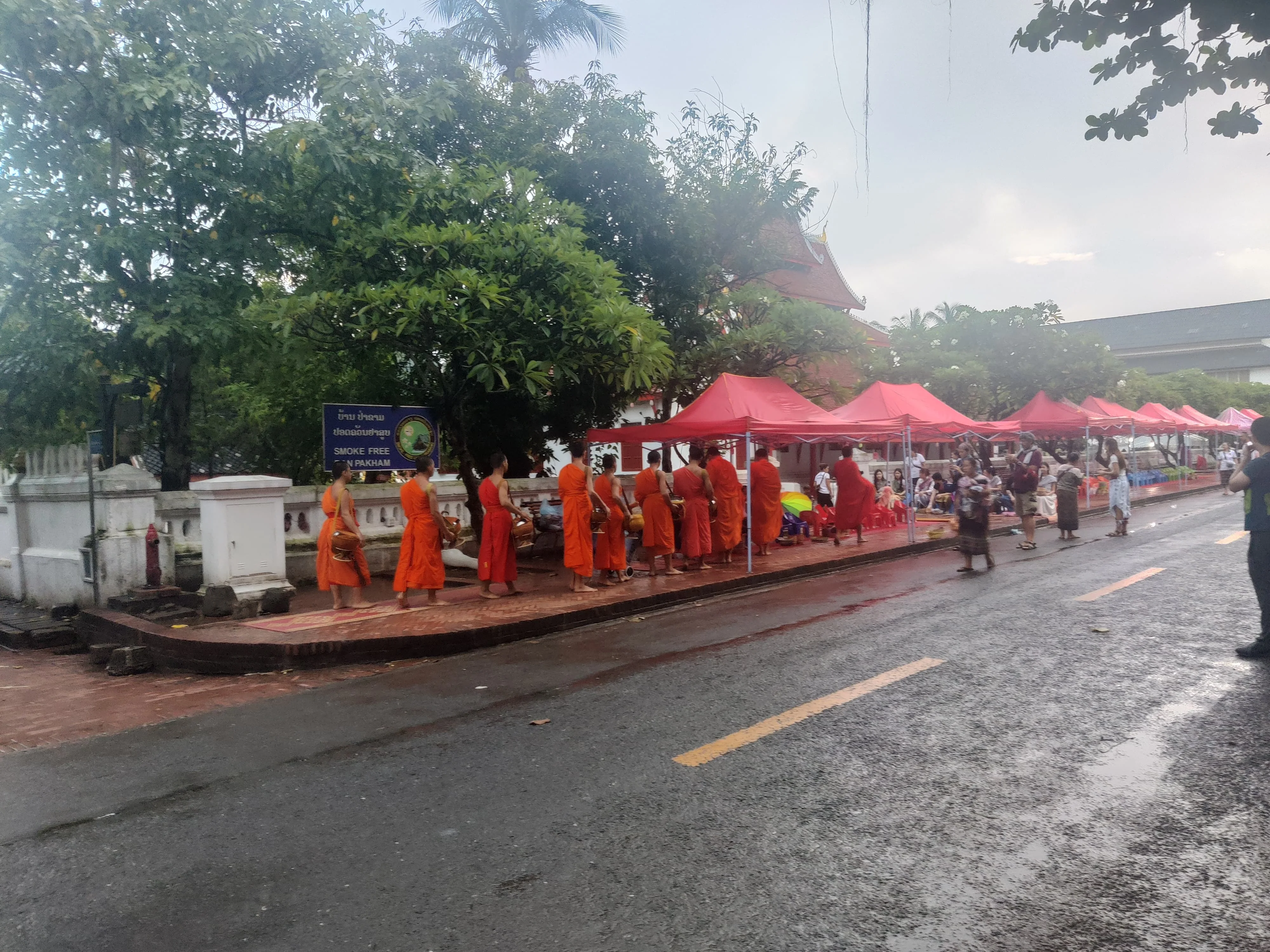 Dawn alms-giving ceremony (Tak Bat) in Luang Prabang with a long procession of barefoot Buddhist monks in saffron robes receiving sticky rice offerings