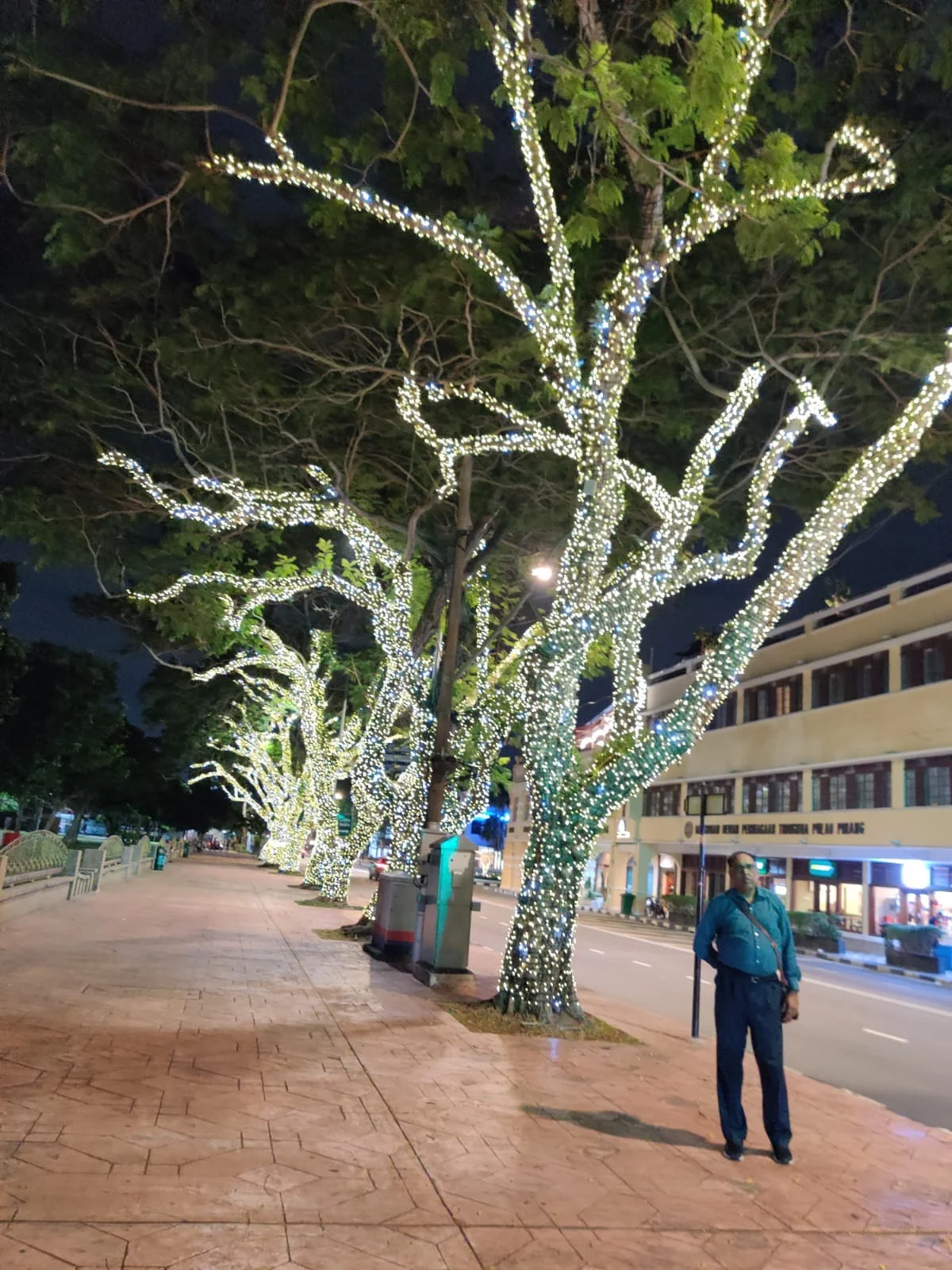 Male traveler standing beneath ancient angsana trees illuminated with fairy lights along George Town's colonial street at night