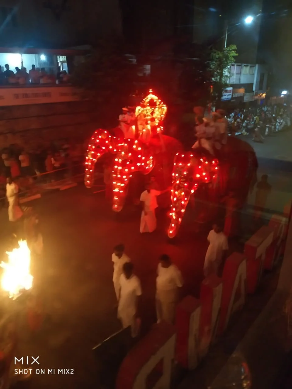 Elephants illuminated in blazing red fairy lights with mahouts in white clothing parading through Kandy streets