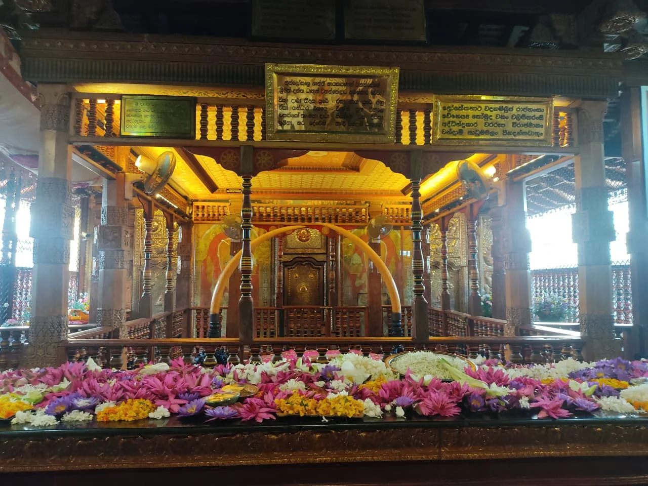 Inner sanctum altar of the Temple of the Tooth completely carpeted with thousands of vibrant purple and yellow lotus flower offerings