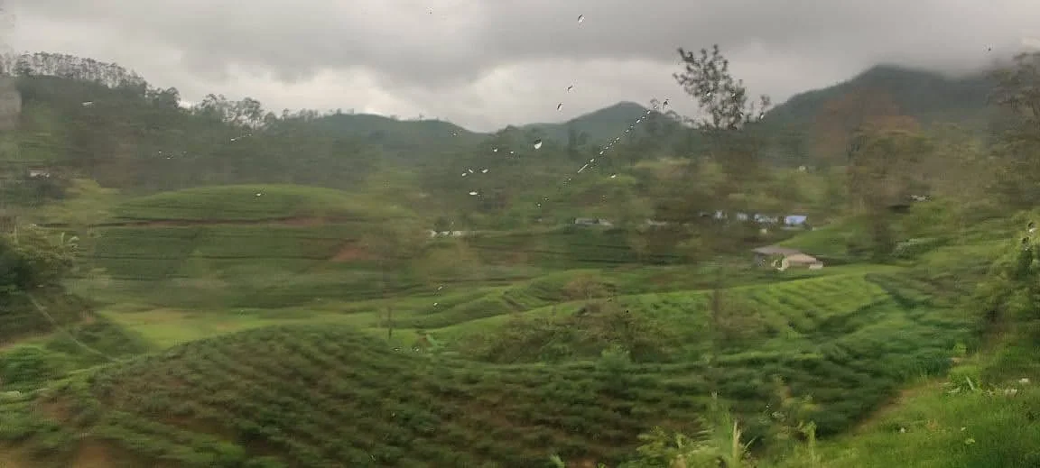 Panoramic view through train window with raindrops on glass overlooking rolling green tea valleys and mist-shrouded peaks