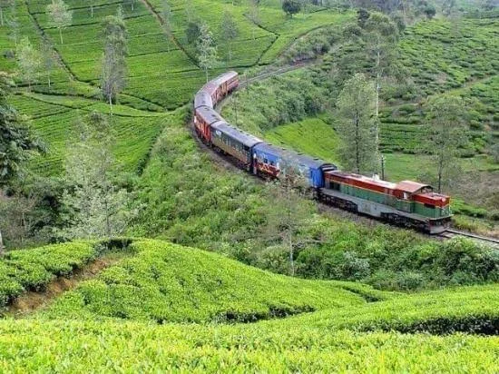 Iconic blue and red highland train curving through lush green hillside tea plantations of Sri Lanka