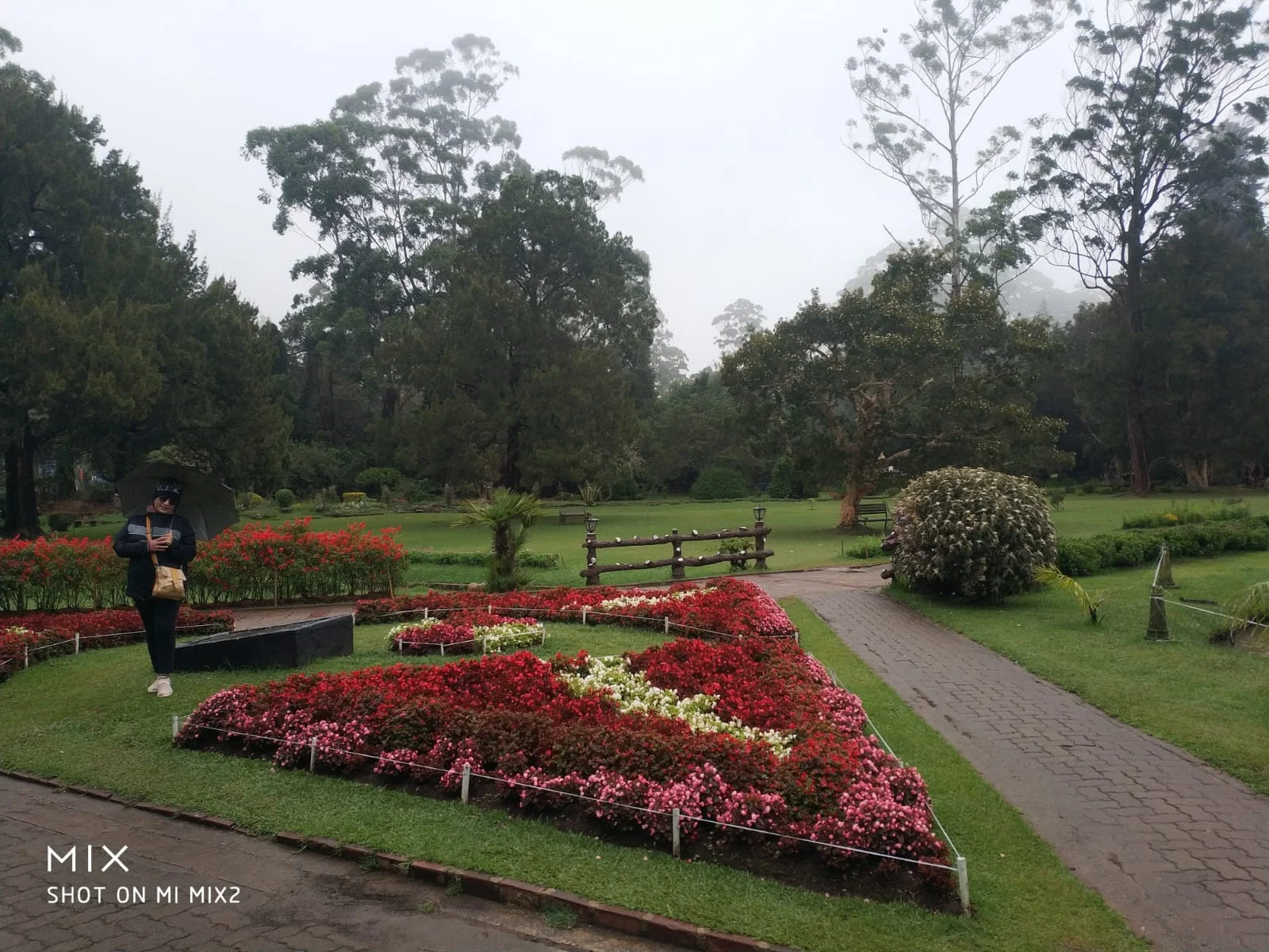 Misty landscape of Victoria Park with manicured geometric flowerbeds, lawns, and misty tree canopy