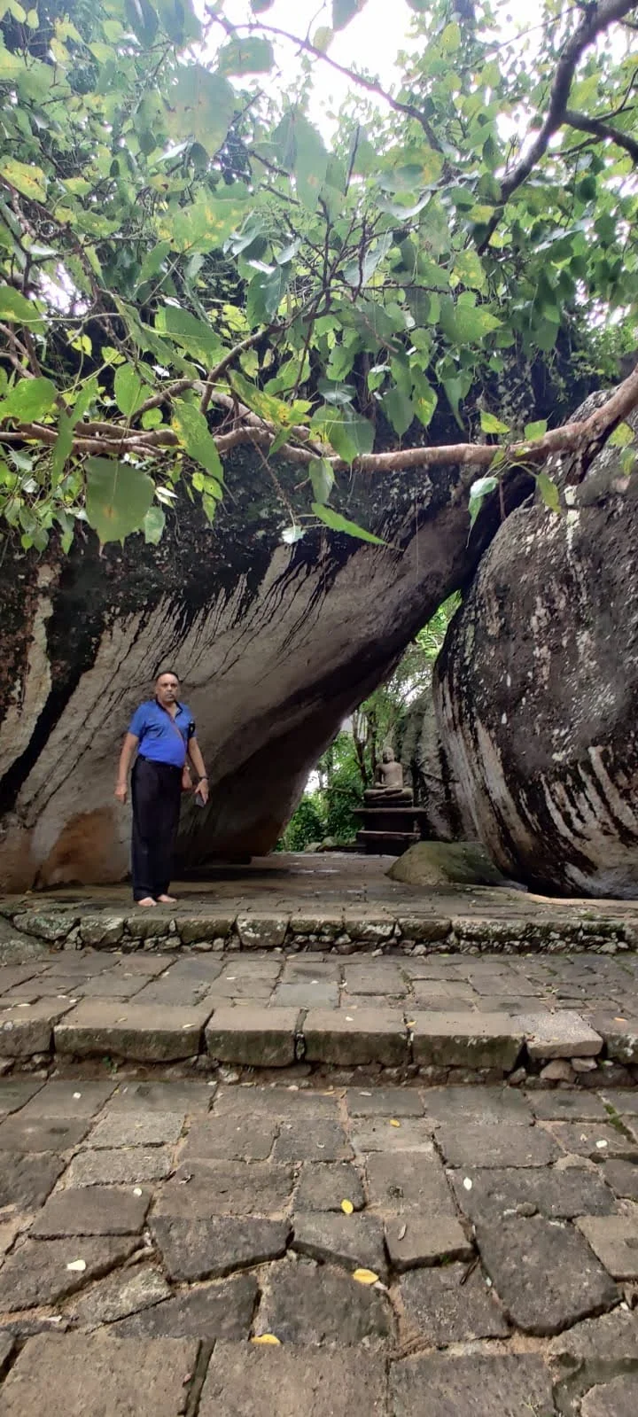 Ancient stone stairway ascending through lush jungle canopy to Yatagala Raja Maha Viharaya