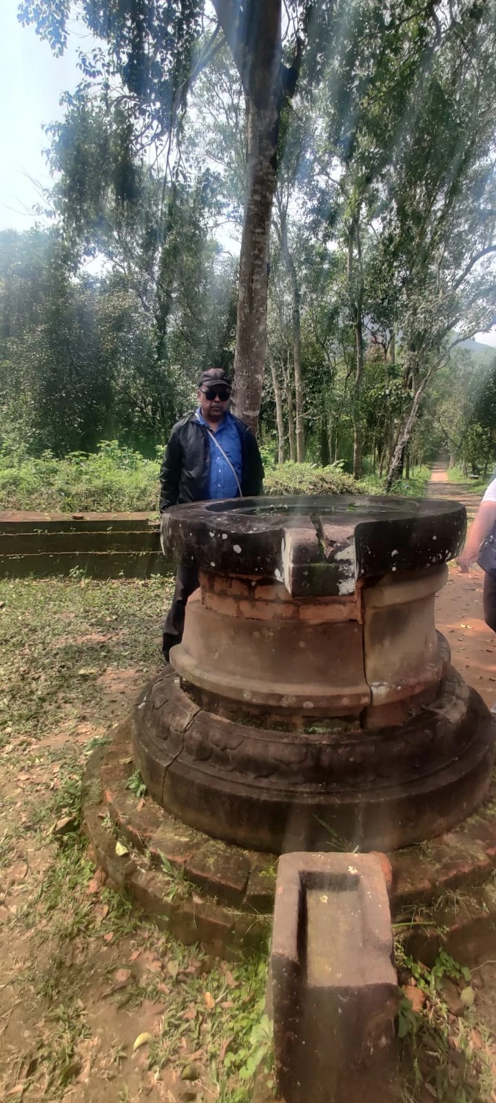 Monolithic circular sandstone Shiva Linga pedestal standing amidst the jungle trees at My Son