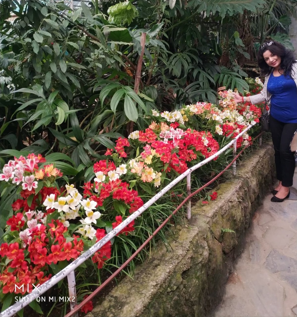 Colourful Himalayan orchids and flora at Flower Exhibition Centre Gangtok
