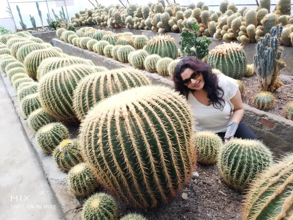Kalimpong Cactus Garden