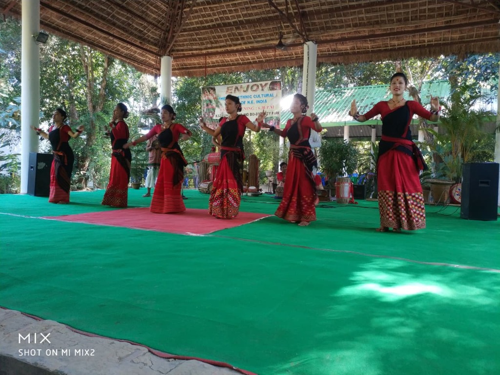Traditional Assamese dance performance at Kaziranga Cultural Village