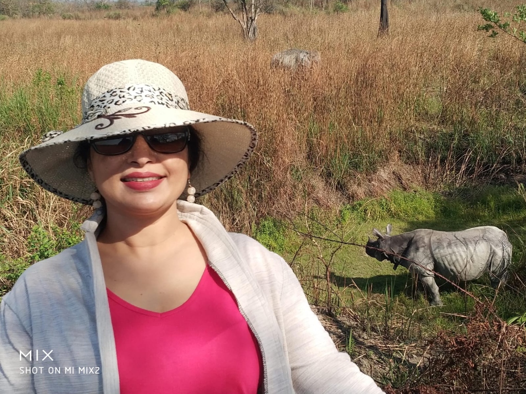 Single-horned rhinoceros encounter in grasslands