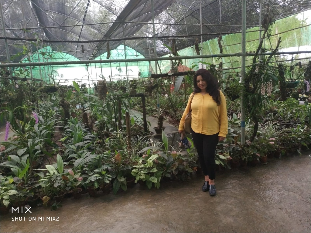 Greenhouse at Kaziranga National Orchid Park filled with native orchids and flora