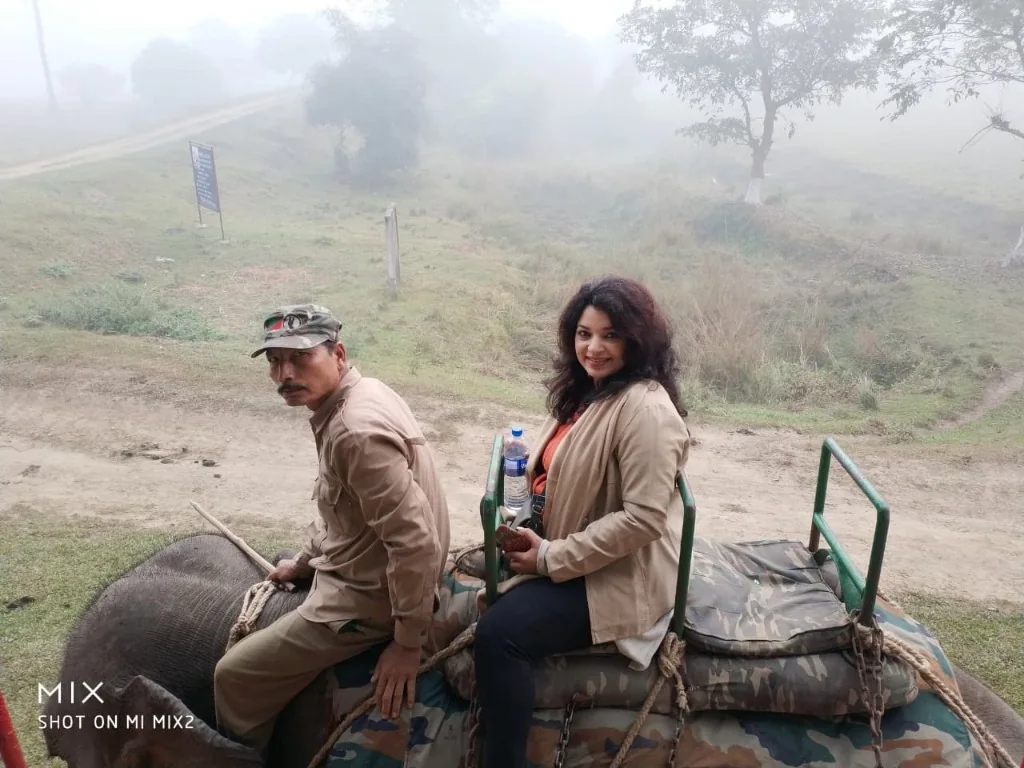 Elephant safari experience in Pobitora Wildlife Sanctuary