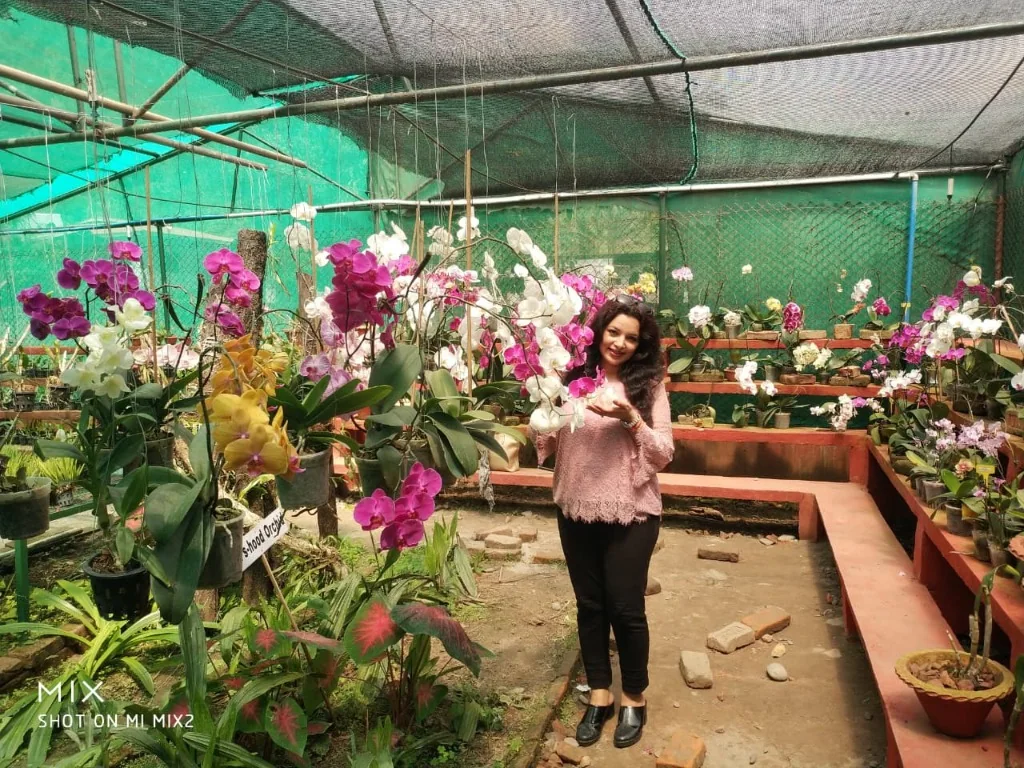 Vibrant purple and white orchid blooms inside Tippi Orchid Research Centre greenhouse