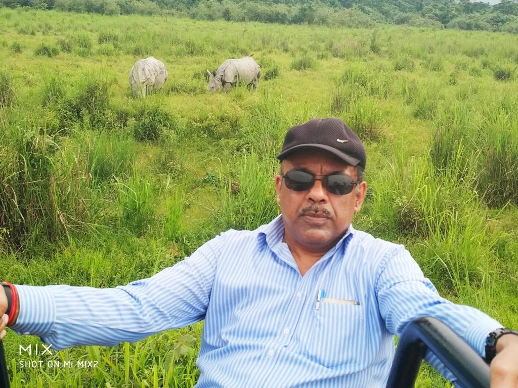 Great One-Horned Rhinoceros in Kaziranga National Park, Assam