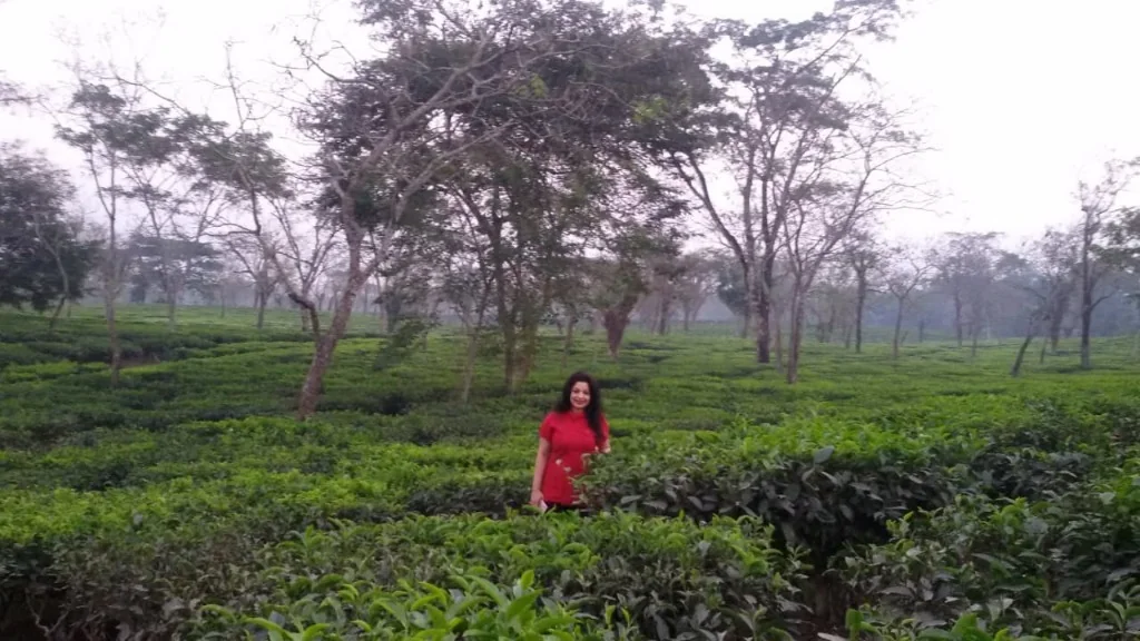 Lady standing in the lush tea garden of Upper Assam