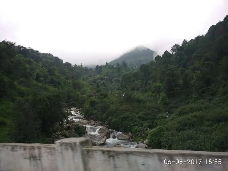 Scenic view of a mountain stream cascading down green forested slopes at Neugal Khad in Palampur