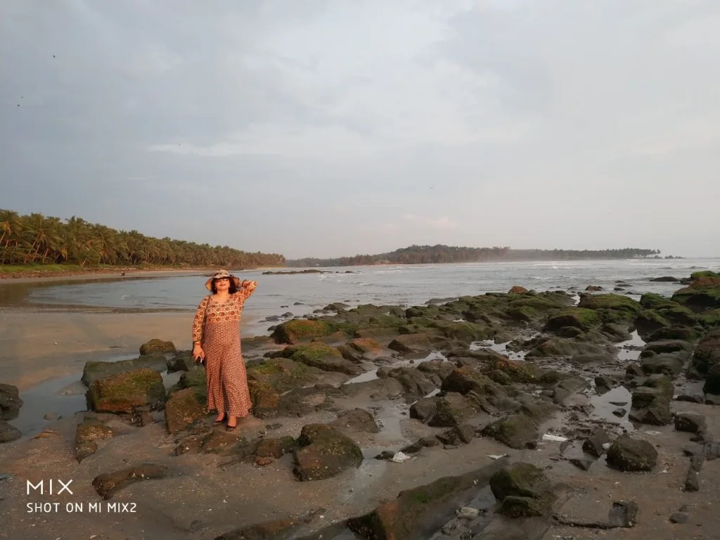 Coastal rocks and palm fringe view at Muzhappilangad Beach