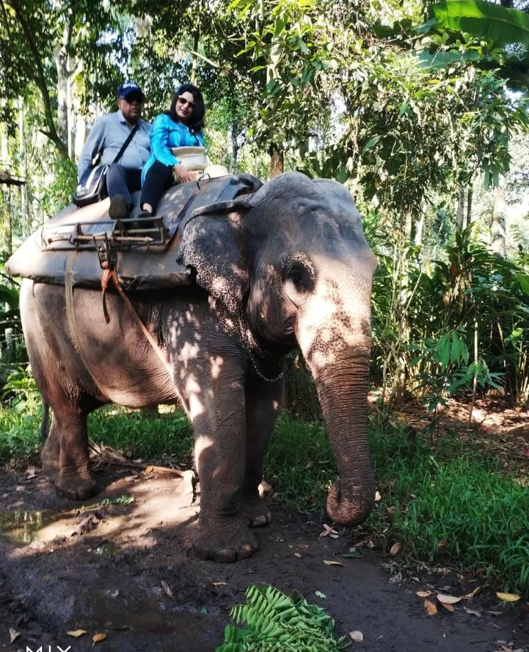 Rani carrying us through the shaded forest trails of Thekkady