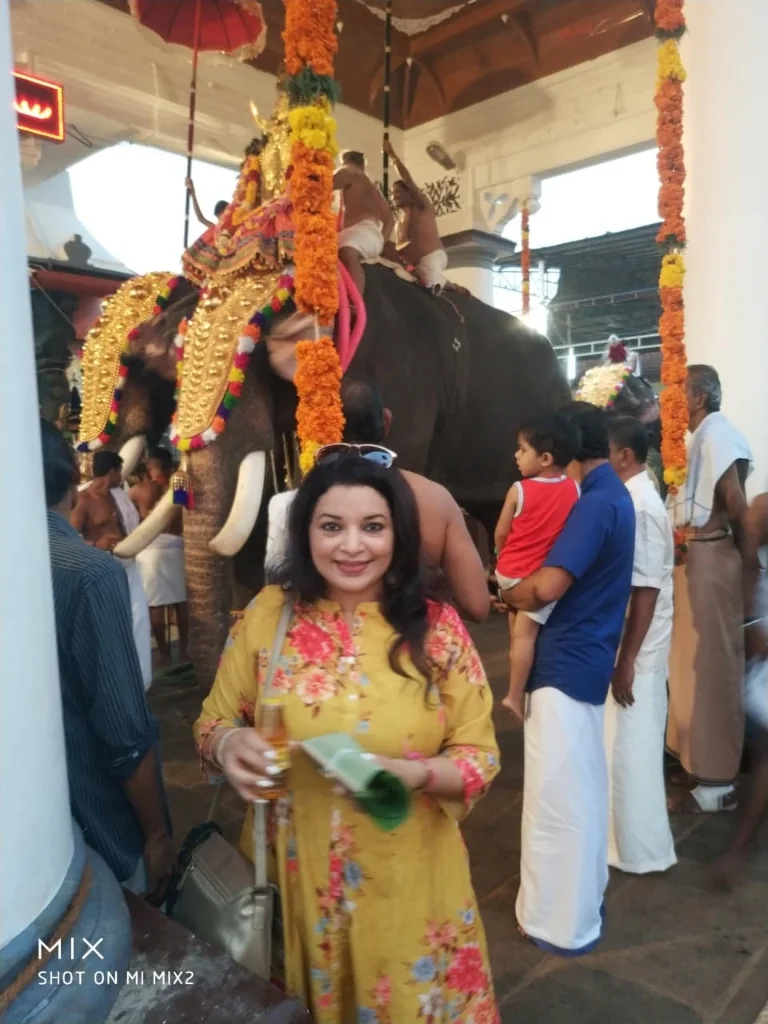 Decorated elephant with a lady standing in front
